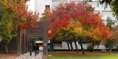 Fresno State University campus