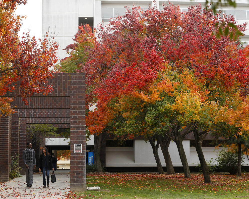 Fresno State University campus