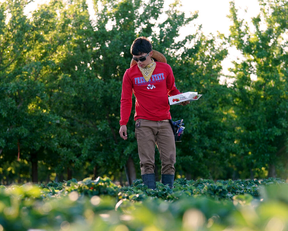 Student at Fresno State University