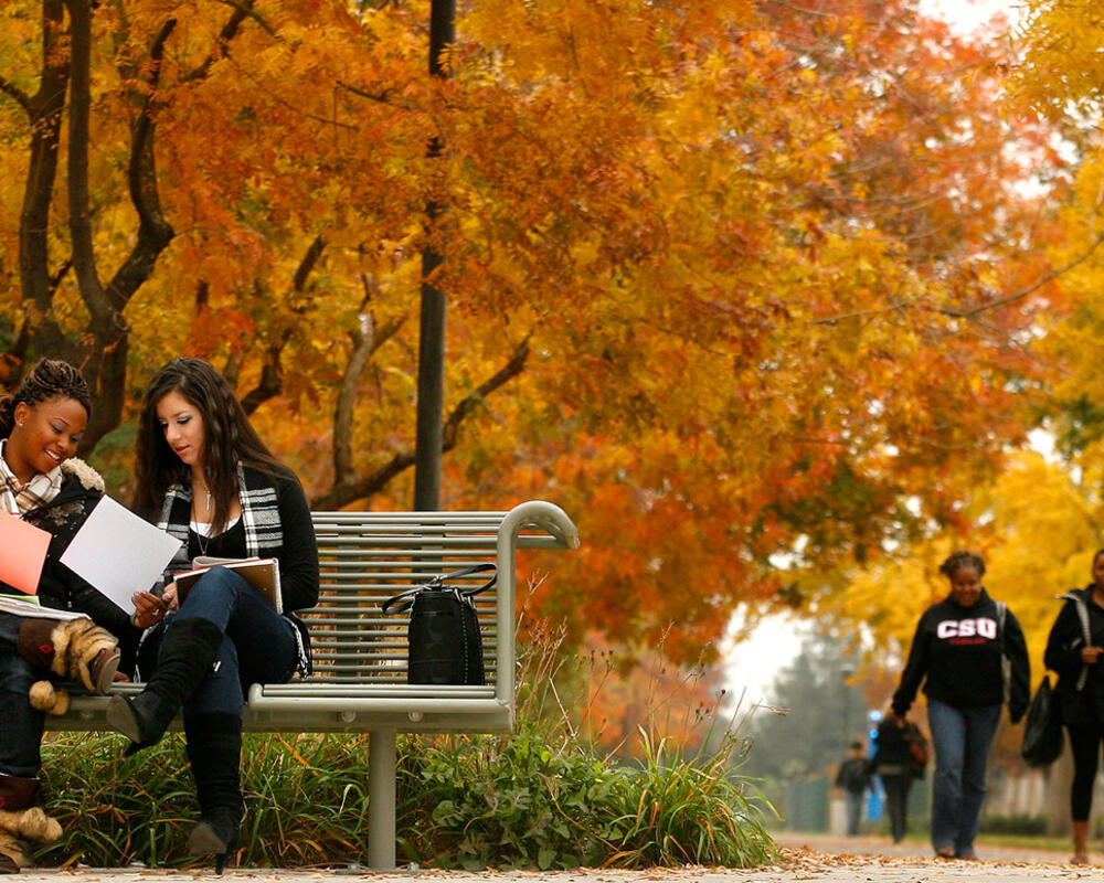 Students at CSU Stanislaus